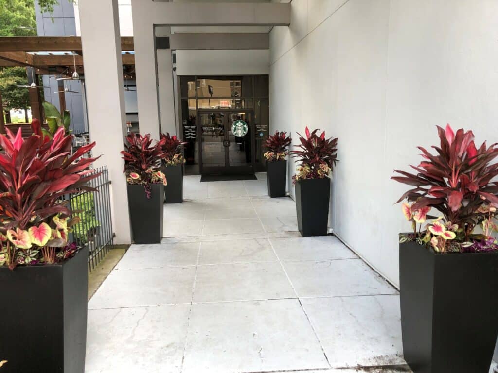 Eleve su entrada: use maceteros altos en la puerta de entrada para una cálida bienvenida